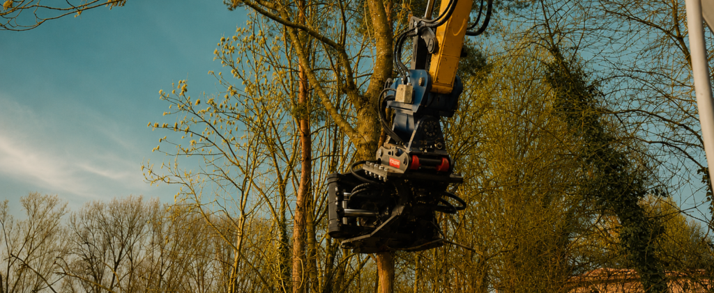 Bagger mit Fällgreifer bei der Baumfällung entlang eines Waldrands.